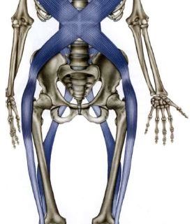 Osteopatia linee spirale anteriore
