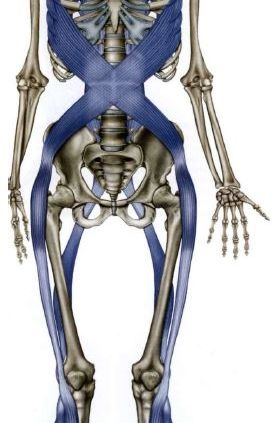 Osteopatia linee spirale anteriore