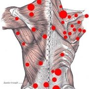 nervo accavallato osteopata milano