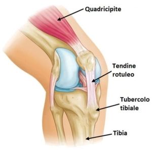 Morbo di Osgood Schlatter ed osteopatia
